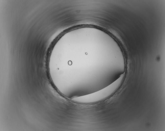 X0000112541068200909071416
