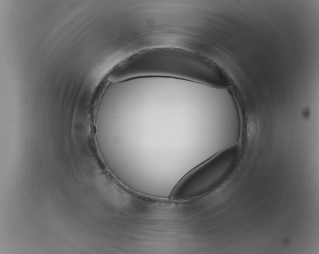 X0000112541069200909071416