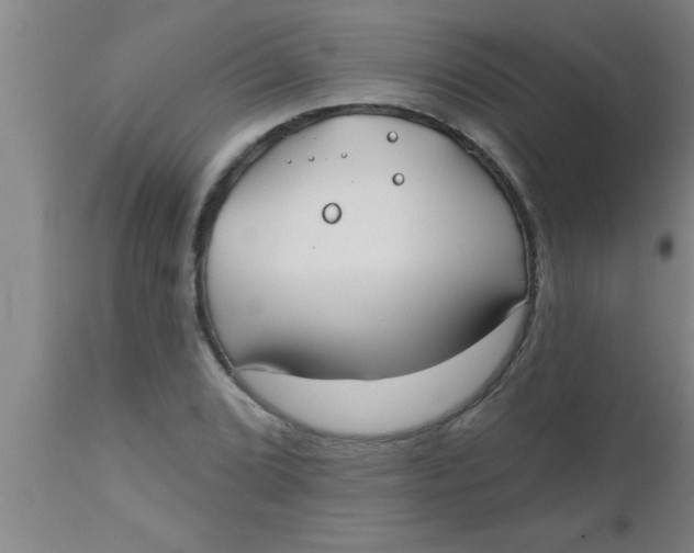 X0000112541072200909071416