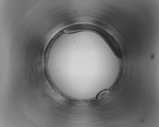 X0000112541076200909071416