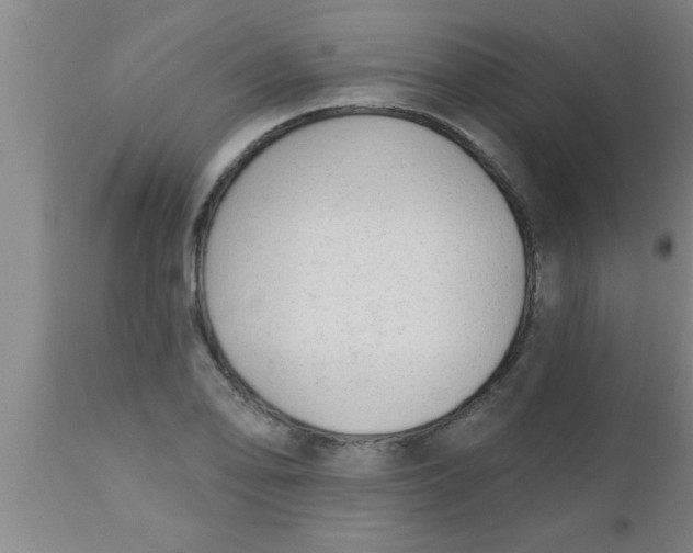 X0000112541078200909071416