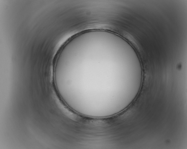 X0000112541079200909071416