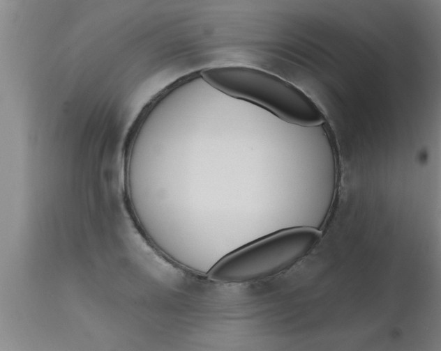 X0000112541080200909071416