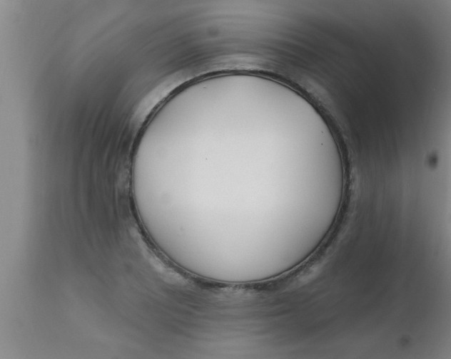 X0000112541081200909071416