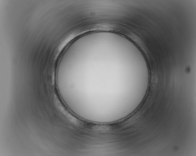 X0000112541083200909071416