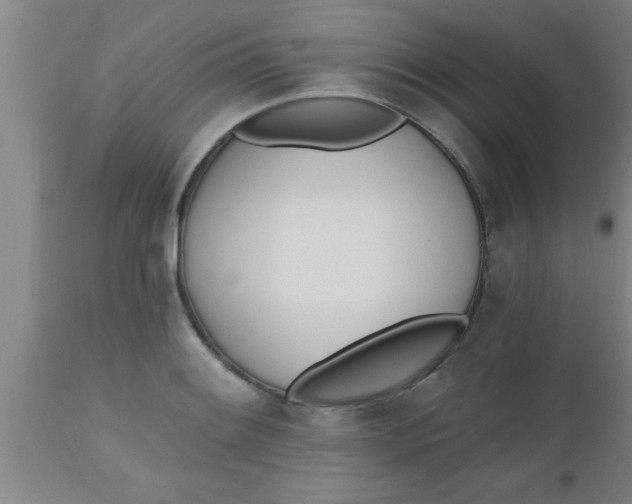 X0000112541084200909071416