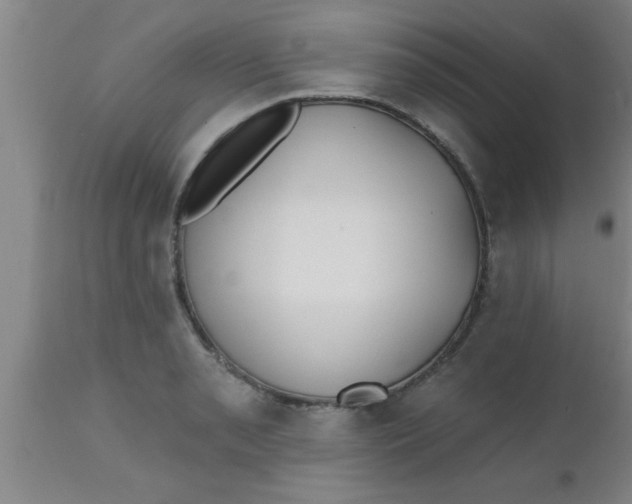 X0000112541085200909071416