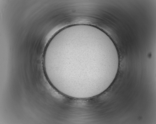 X0000112541086200909071416