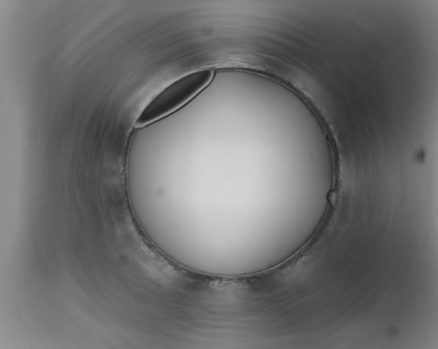 X0000112541089200909071416