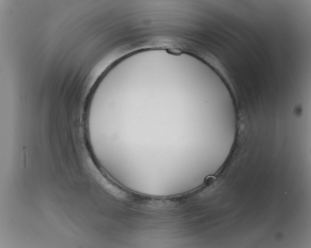 X0000112541091200909071416