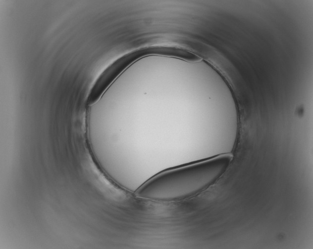 X0000112541092200909071416