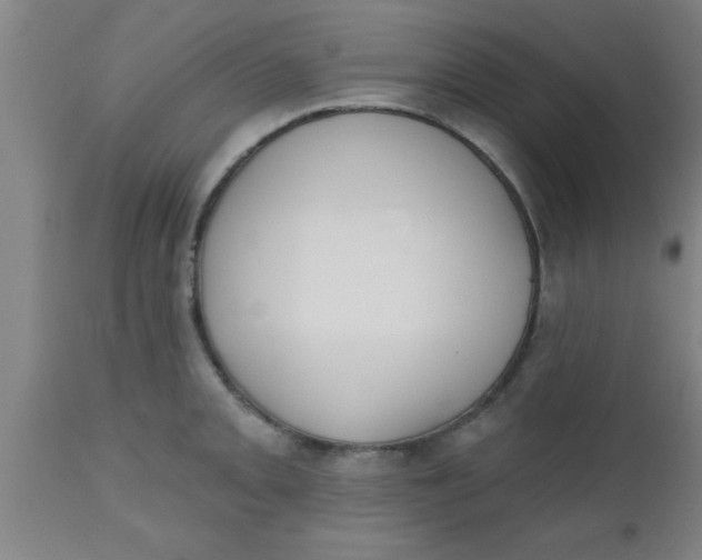 X0000112541093200909071416