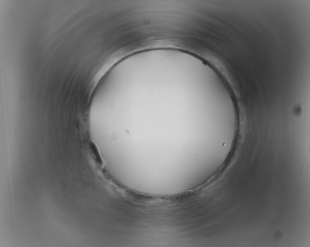 X0000112541097200909071416