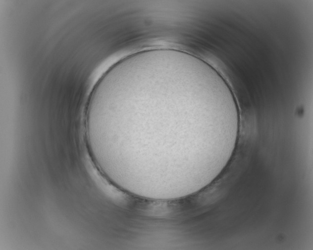 X0000112541098200909071416