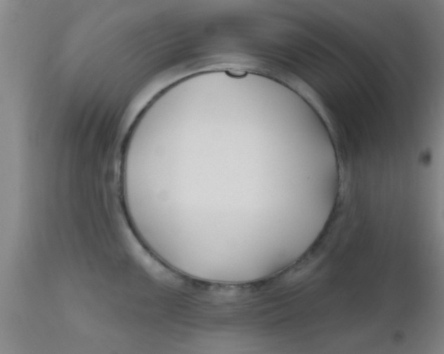 X0000112541099200909071416