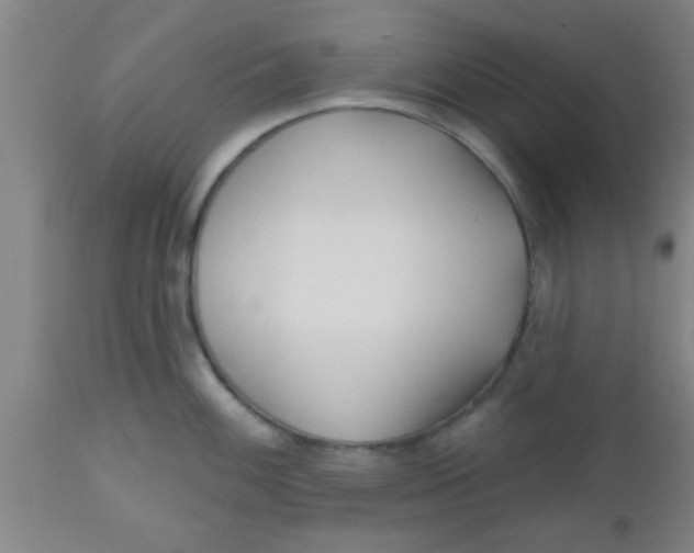 X0000112541100200909071416