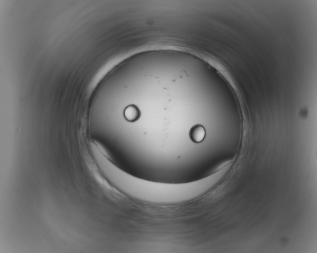X0000112541101200909071416