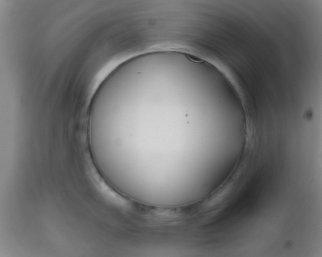 X0000112541102200909071416