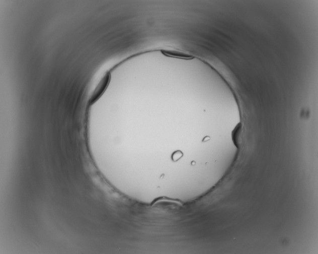 X0000112541104200909071416