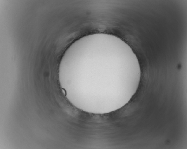 X0000112541105200909071415