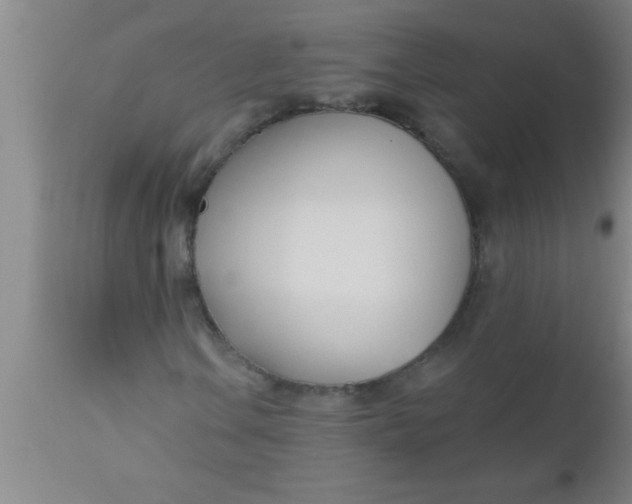 X0000112541106200909071415