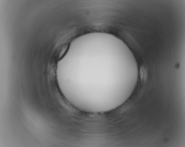 X0000112541107200909071415