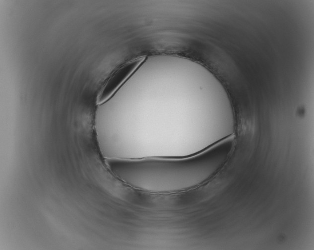 X0000112541108200909071415