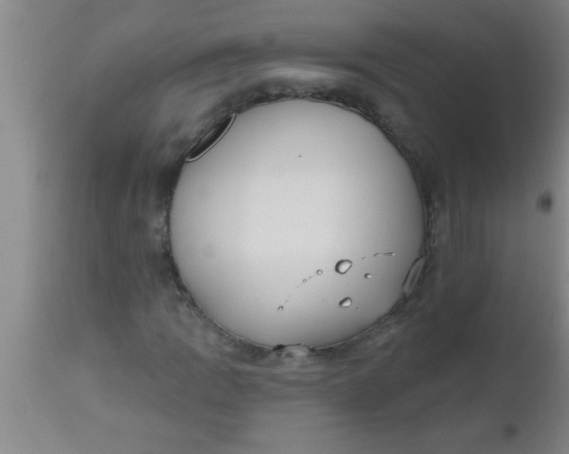 X0000112541109200909071415