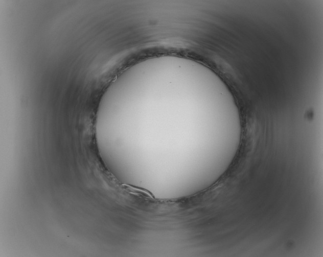 X0000112541110200909071415
