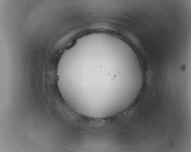 X0000112541111200909071415