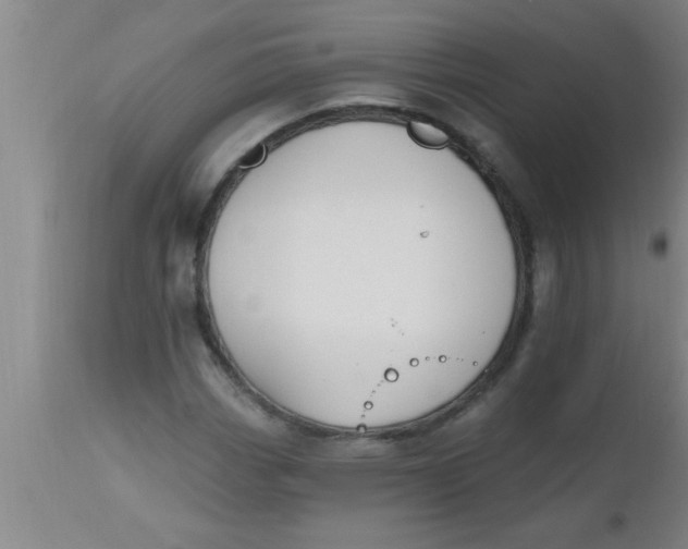 X0000112541113200909071415