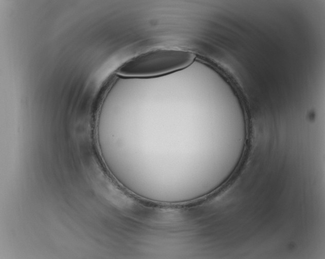 X0000112541114200909071415