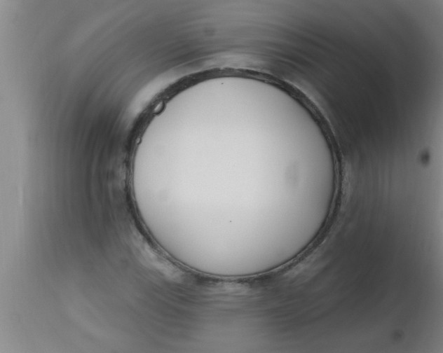 X0000112541115200909071415