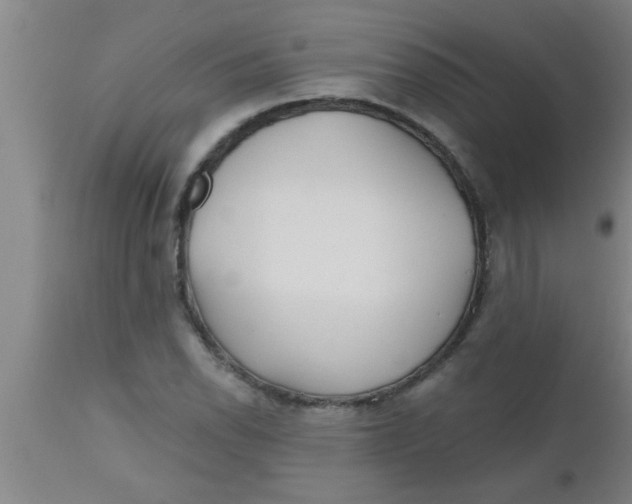 X0000112541118200909071415