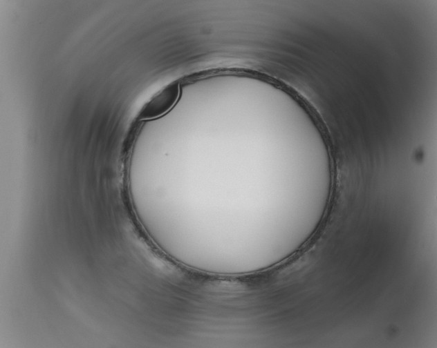 X0000112541119200909071415