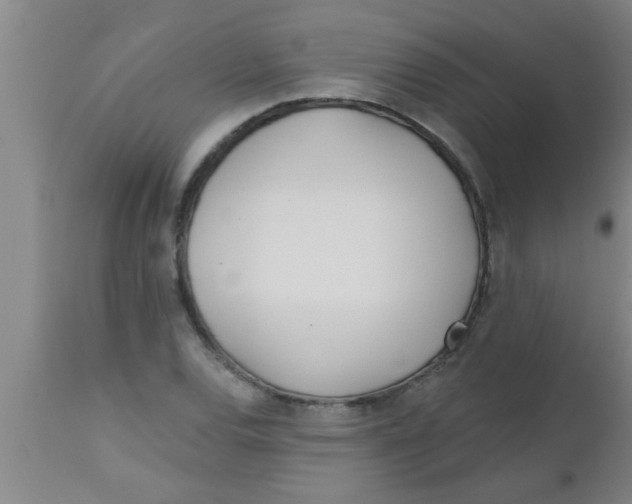 X0000112541120200909071415