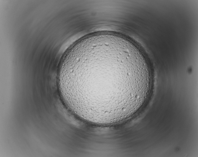 X0000112541121200909071415