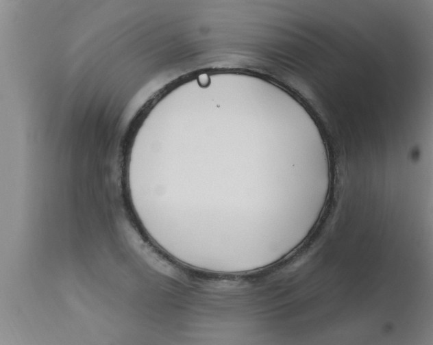 X0000112541122200909071415