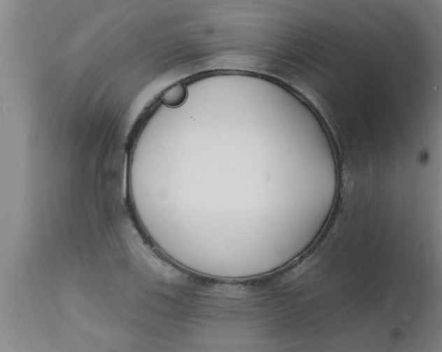 X0000112541123200909071415