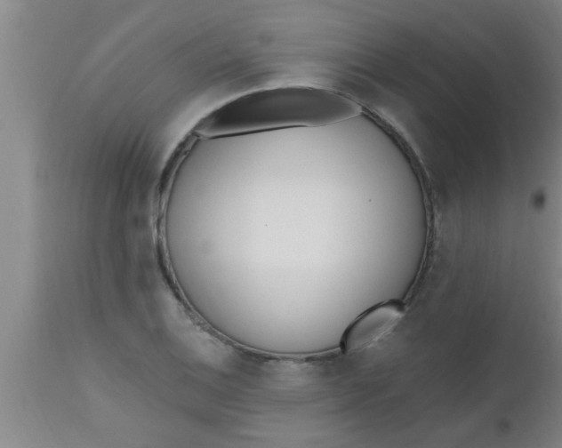 X0000112541124200909071415