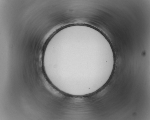 X0000112541126200909071415