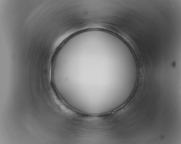 X0000112541127200909071415