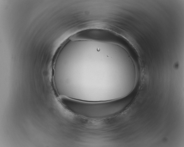 X0000112541128200909071415