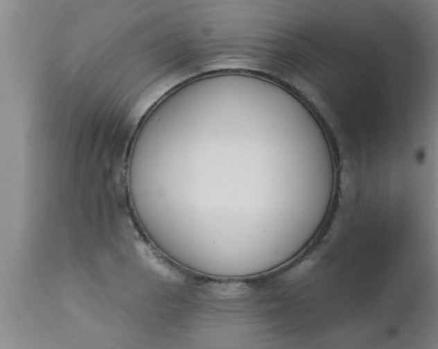 X0000112541129200909071415