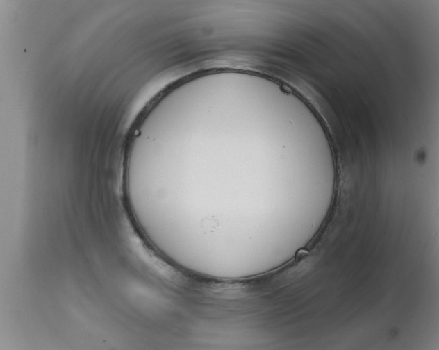 X0000112541131200909071415