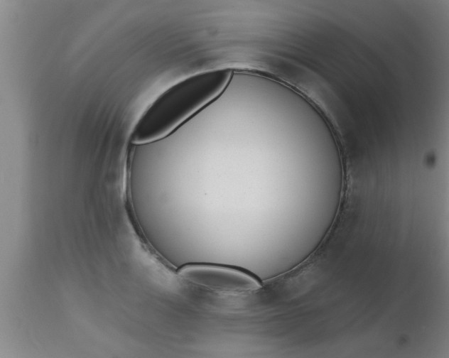X0000112541132200909071415