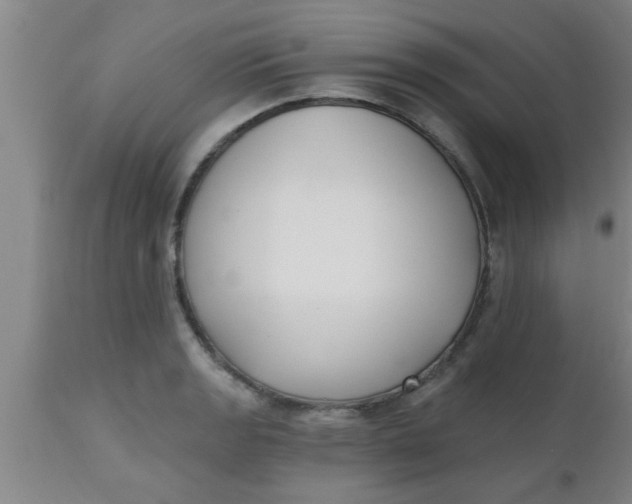 X0000112541133200909071415