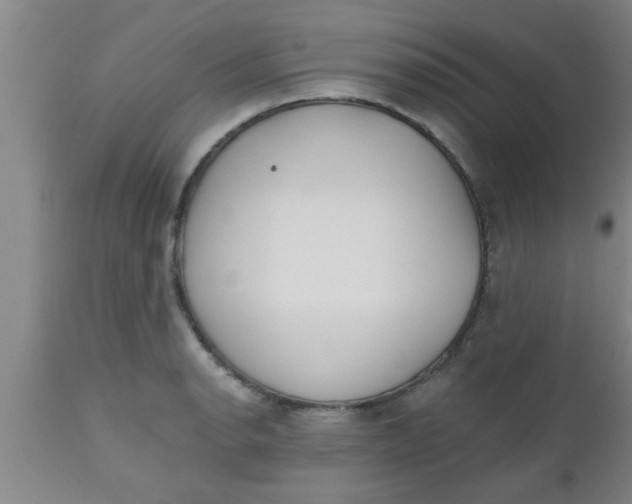 X0000112541134200909071415