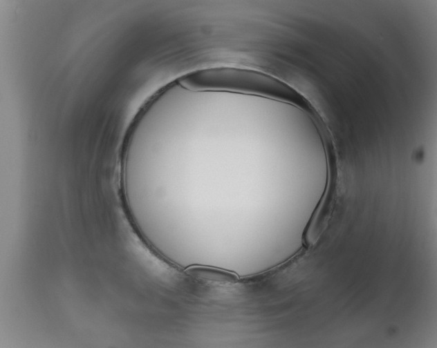 X0000112541136200909071415