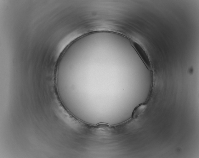 X0000112541138200909071415